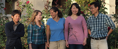 The Fejes Toth Lab